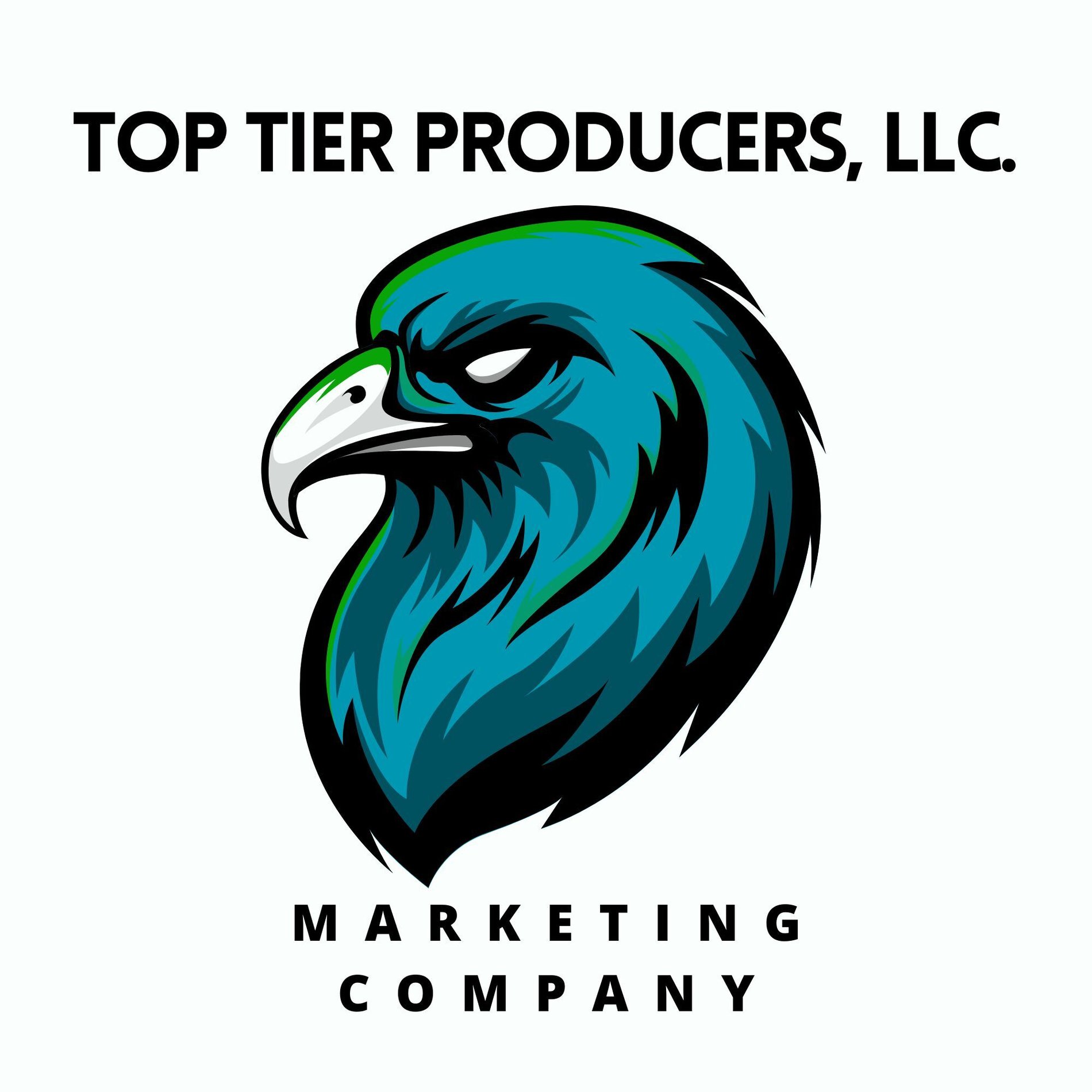 Official TTP Logo